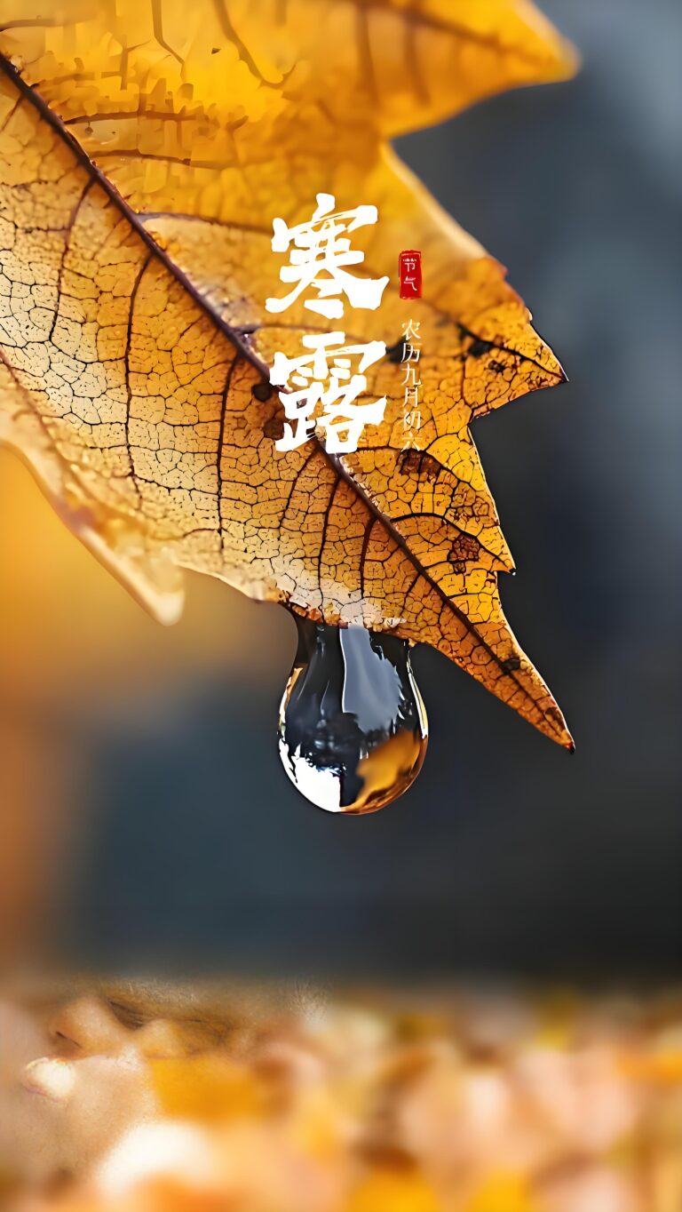 Cold dew, the-maple-forest-gradually-dyes-with-dancing-red-leaves-under-the-bright-moon-the-autumn-water-shares-long-thoughts