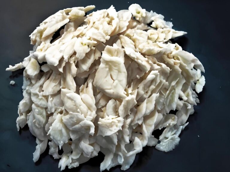CSM Rubber Formulation Guide | YQXPOLYMER Chlorosulfonated Polyethylene (CSM) Performance & Processing Handbook